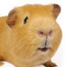 imagesCAJDKCW9